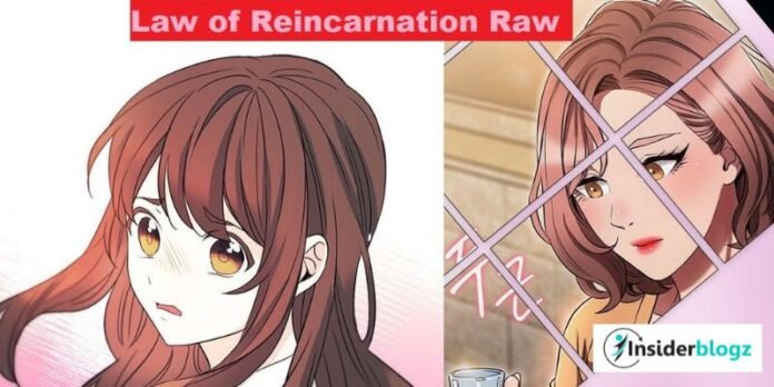Manhwa Understand the Reality of The Law of Reincarnation Raw Form